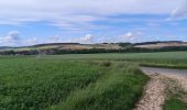 Tour Wandern Soucy - Petite promenade dans la forêt de SOUCY  - Photo 5