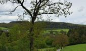 Trail Walking Marche-en-Famenne - WAHA - HARGIMONT - Photo 12