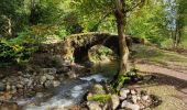 Trail Walking Bédeilhac-et-Aynat - au pied du Calames - Photo 1