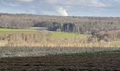 Tour Wandern Havelange - Marche ADEPS 10km500 à Havelange - Photo 15