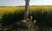 Trail Walking Montreuil-sur-Epte - Montreuil sur Epte- Ducourt les vignes Mignot   - Photo 2