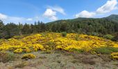 Excursión Senderismo Alzon - vers le St guiral puis le rocher de l'aigle - Photo 8