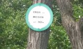 Trail Walking Bergholtzzell - bergholtzzell  croix de mission boucle - Photo 2