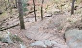 Trail Nordic walking Fontainebleau - appremont 1 - Photo 2