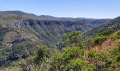 Tour Wandern Gorniès - Le Grenouillet - Photo 3