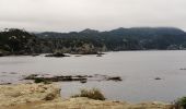 Tocht Trail Six-Fours-les-Plages - Île de Gaou - Photo 5