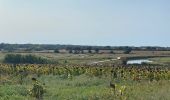 Percorso Mountainbike Les Sables-d'Olonne - Pironniere vers Guittiere - Photo 3