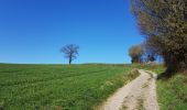 Trail Walking Gulpen-Wittem - 2021-03-30_19h30m42_1141 - Photo 3