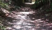 Trail Walking Barcelonnette - PROMENADE A BARCELONNETTE  - Photo 17
