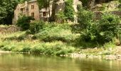 Randonnée Marche Gorges du Tarn Causses - Sainte enfiliez - Photo 4