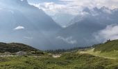 Percorso Marcia Chamonix-Mont-Blanc - Randonné la flégère - Lac Blanc - la flégère - Photo 19