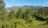 Tour Wandern La Motte-Chalancon - LA MOTTE CHALANCON - LE PLATEAU DE LA CHAU - Photo 18