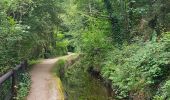 Tocht Stappen Huelgoat - Huelgoat Parcours decouverte - Photo 4