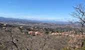 Tocht Stappen Montesquieu-des-Albères - Montesquieu des Albères - Photo 1