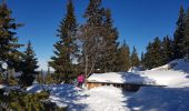 Tour Schneeschuhwandern Corrençon-en-Vercors - Vers le Pas Ernadant et ses cabanes - Photo 3