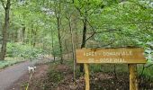 Trail Walking Jalhay - 2021-11-16_21h12m11_Cirkwi-Solwaster_Sawe_-_balade_56_B (1) - Photo 5