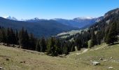 Excursión Senderismo Glières-Val-de-Borne - GLIERES: TOUR DE LA MONTAGNE DES FRETES  mai 2023 - Photo 4