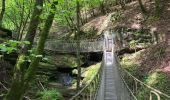 Tour Wandern Kordel - Ramstein burg 16,5km - Photo 4