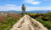 Tocht Mountainbike Pont de Montvert - Sud Mont Lozère - la Brousse /Station du Mont Lozère - Photo 1