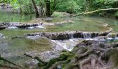 Excursión Senderismo Les Planches-près-Arbois - la reculée des planches - Photo 6