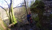 Tour Mountainbike Libin - VTT sur redu - Photo 3