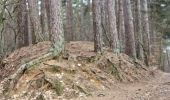 Tour Wandern Chaumont-Gistoux - #240216 - Bonlez, Aftia, Bruyères, Champ des Goffes**** - Photo 9