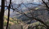 Trail Mountain bike Fréland - Voirimont Barlin Chamont - Photo 3