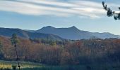 Trail Walking Mirabeau - MALIJAI  . CHAPELLE S CHRISTOL . CHAPELLE S PHILIPPE . RAVIN DES SAUVEES N - Photo 3