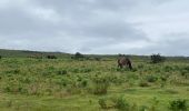 Trail  Ascain - La Rhune - Photo 3