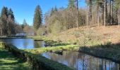 Trail Horseback riding Florenville - Les Epioux  - Photo 17
