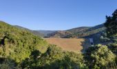 Excursión Bici de montaña La Môle - VTT - La Mole - Barrage de La Verne - Chartreuse de La Verne - Capelude - Retour La Mole par les crêtes - Photo 1