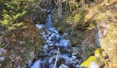 Trail Walking Lepuix - Saut de la Truite - cascade du Rummel - Etang du Petit-Haut - Ballon d'alsace - Photo 1