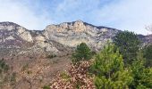 Trail Walking Saou - Saou : Le Petit Pomerolle 11km. - Photo 6