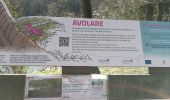 Trail Walking Houffalize - Engreux - Photo 3