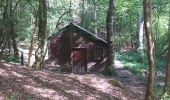 Tocht Stappen Libin - balade du dimanche entre eau et forêt  - Photo 1