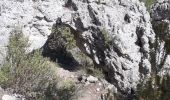 Percorso Marcia La Roquebrussanne - Source des Orris rochers menhirs (83) - Photo 10