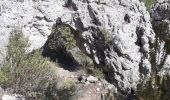 Trail Walking La Roquebrussanne - Source des Orris rochers menhirs (83) - Photo 10