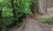 Trail Walking Theux - Bois Winamplanche Spa - Photo 3