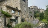 Trail Horseback riding Céreste - Provence 2025 J3 - Photo 4