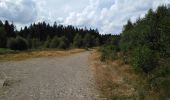 Tour Wandern Weismes - peak triple et cascade bayehon - Photo 13