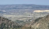 Randonnée Marche nordique Plateau d'Hauteville - cormaranche 20220326 - Photo 6