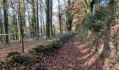 Trail Walking Bersac-sur-Rivalier - Bersac-sur-Rivalier - Beaubiat - 5,5 km - Photo 20