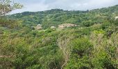 Randonnée Marche La Trinité - Anse Cosmy - Anse Azerot - Photo 10