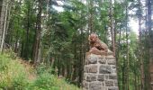 Tour Wandern Markirch - rocher des chèvred - Photo 4