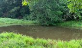 Trail Walking Sainte-Anne - La boucle  - Photo 1