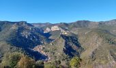 Trail Walking Aniane - grotte des reliques, montcalmes - Photo 8