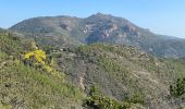 Trail Walking Saint-Raphaël - tour de qqes MF dans l'Esterel  - Photo 9