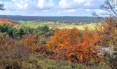 Excursión Senderismo Fontainebleau - Boucle Fontainebleau 19 km au départ de la Croix de Toulouse - Photo 5