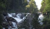 Randonnée Marche Cauterets - Lac d'Estom - Photo 17