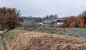Trail Walking Roussas - Roussas 8km - Photo 1